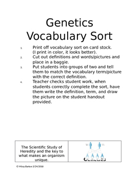 Preview of Genetics Vocabulary Sort