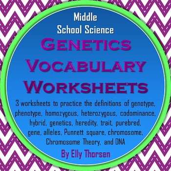 Genetics Vocabulary Worksheets by Elly Thorsen | TpT