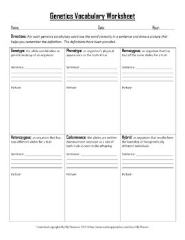 Genetics Vocabulary Worksheets by Elly Thorsen | TpT