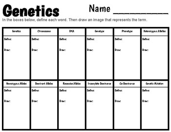 Genetics Vocabulary Worksheet by The Witty Science Teacher | TpT