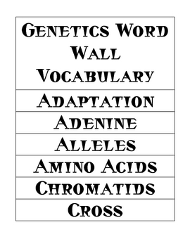 Preview of Genetics Word Wall Vocabulary