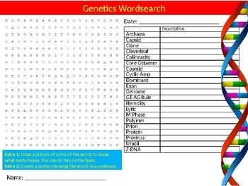Preview of Genetics Wordsearch Sheet Starter Activity Keywords Science Biology
