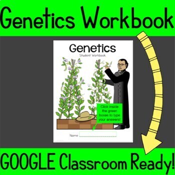 Preview of Genetics Workbook: A Google Slides Workbook