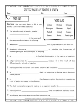Genetics Vocabulary and Concepts Review Worksheet by Elly Thorsen