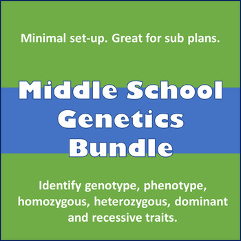 Preview of Genetics & Heredity Flip a Coin Bundle Phenotype Genotype Dominant Recessive