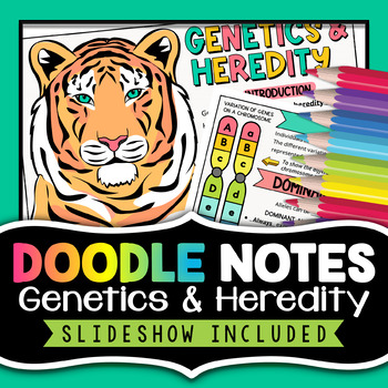Preview of Genetics and Heredity Doodle Notes Activity