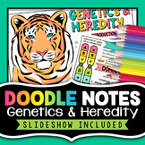 Genetics and Heredity Doodle Notes Activity