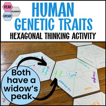 Preview of Genetics and Heredity Hexagonal Thinking Activity | Family Tree Alternative