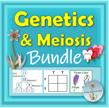 Preview of Genetics and Heredity Meiosis Unit Bundle Notes, PowerPoint, Practice, Activity