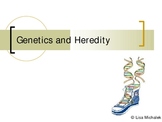 Genetics and Heredity PowerPoint Presentation Lesson Plan