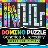 Genetics and Heredity Review Activity - Domino Puzzle