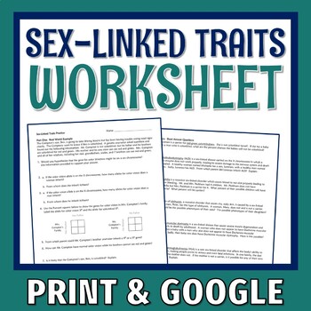 Preview of Genetics and Heredity Sex Linked Traits Worksheet PRINT and GOOGLE Versions