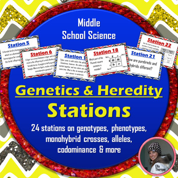 Preview of Genetics and Heredity Stations Activity