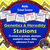 Genetics and Heredity Stations Activity