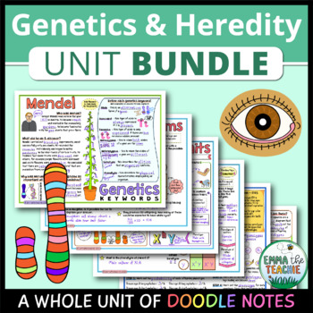 Preview of Genetics & Heredity UNIT Doodle Notes - Mendel, Punnett Squares, Pedigrees