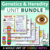 Genetics & Heredity UNIT Doodle Notes - Mendel, Punnett Sq