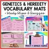 Genetics and Heredity Vocabulary Activities Mats, Study Sl