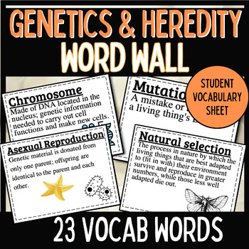 Preview of Genetics and Heredity Word Wall