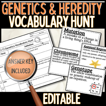 Preview of Genetics and Heredity Word Wall Vocabulary Game