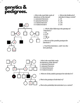 Genetics and Pedigree Worksheet by Johonna Sheldon | TpT