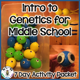 Genetics for Middle School with Easter Eggs and Pipe Clean
