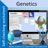 Genetics self checking worksheet and create-your-own baby bird!