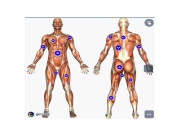 Preview of Genially huesos, músculos y sus estiramientos