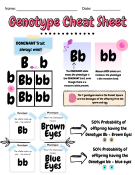 Preview of Genotype Cheat Sheet