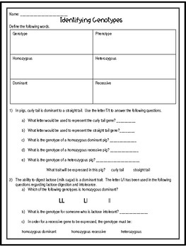 Genotype Practice Worksheet by Life in Prism | TPT