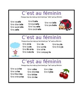 Preview of Genres en Français