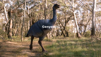 Preview of Genyornis