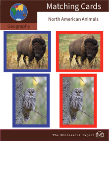 Preview of Geography Matching Cards: Animals of North America #3