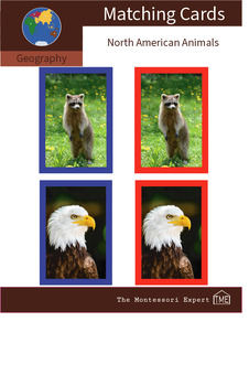 Preview of Geography Matching Cards: Animals of North America #4