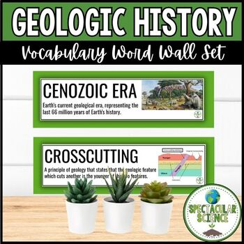 Preview of Geologic History Vocabulary Word Wall Cards