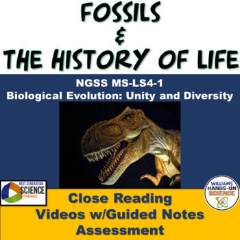Preview of Geologic Time Scale NGSS MS-LS4-1 Fossil Evidence History of Life Digital 