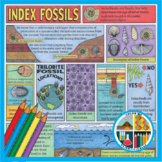 Geology Coloring: Index Fossils PLUS Bonus Materials