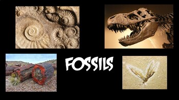 Preview of Geology - Fossils PowerPoint