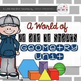 Geometry - A World of 2-D and 3-D Shapes