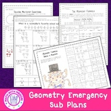 Geometry Emergency Sub Plans Notes & Activities *Can be us