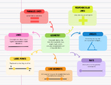 Geometry Lines & Angles Cheat Sheet