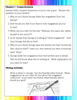 George by Alex Gino Reading Novel Literature Study Guide Teaching Unit ...