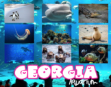 Georgia Aquarium Virtual Field Trip  