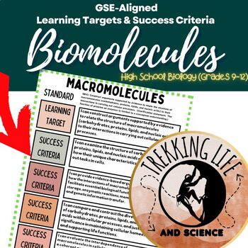 Preview of Georgia Biology Macromolecules Learning Targets & Success Criteria Poster