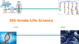 Georgia Milestone GMAS 5th Grade Science Review Life Science