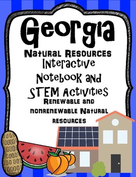 Preview of Georgia Natural Resources Interactive Notebook and STEM Activities