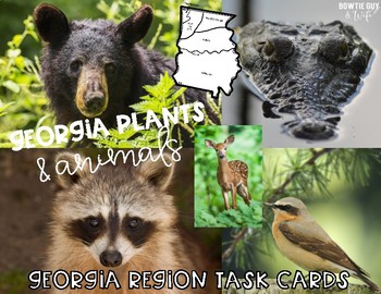 Preview of Georgia Region Plants and Animals Habitats Task Cards (new GSE compatible)