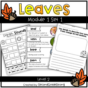 Preview of Geos- Leaves Mod 1 Set 1 (Level 2)