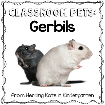 Preview of Gerbil Classroom Pet