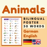 German ANIMALS Poster | Animals German Deutsch English Poster
