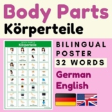 German BODY PARTS Körperteile | BODY PART German Deutsch poster